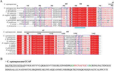 Identification and expression profiling of neuropeptides and neuropeptide receptor genes in a natural enemy, Coccinella septempunctata